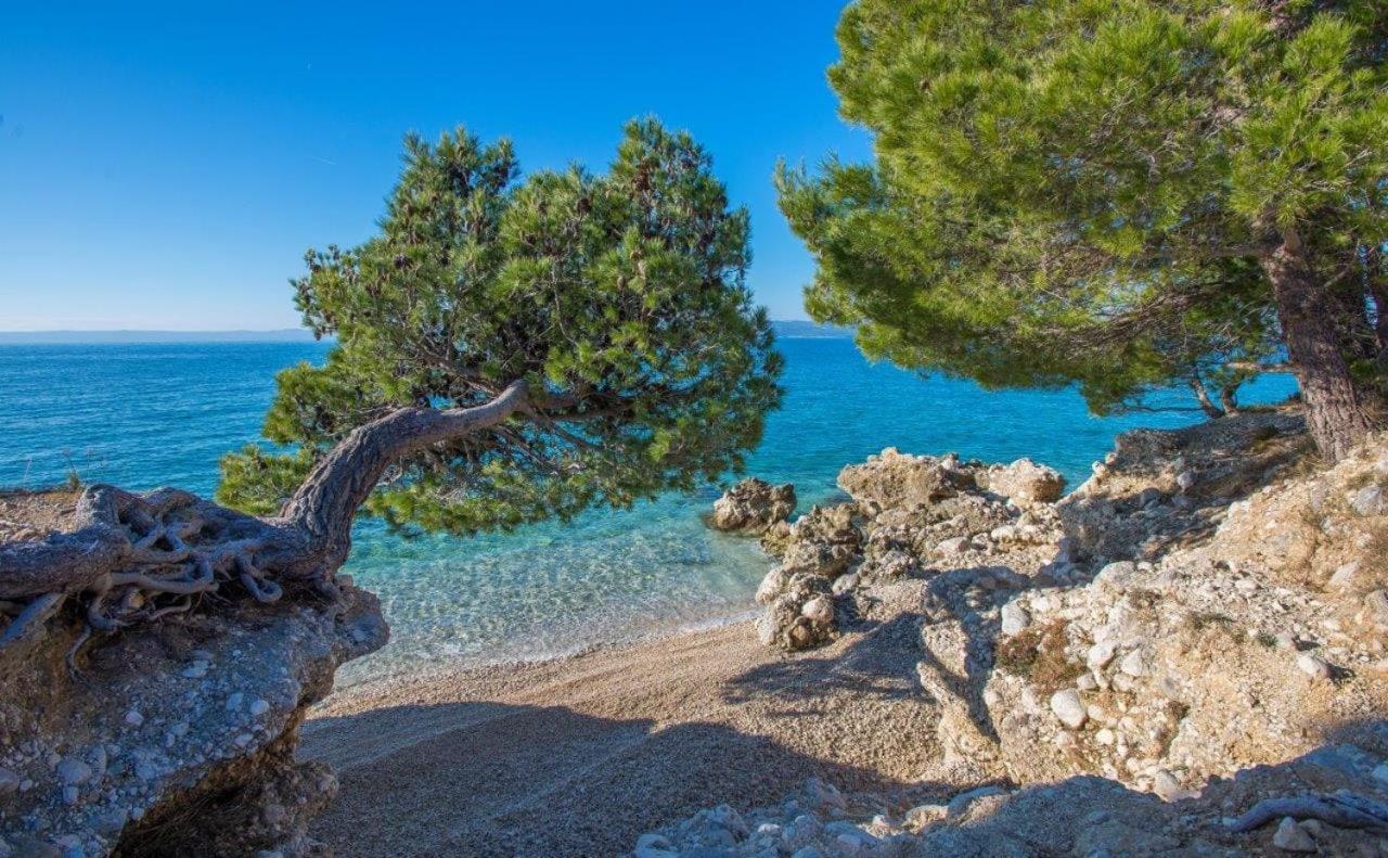 Apartman King Makarska Zewnętrze zdjęcie